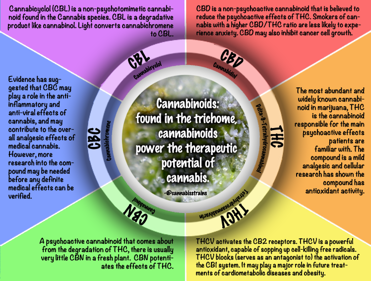 https://bloomroomsf.files.wordpress.com/2013/01/cannabinoids.png